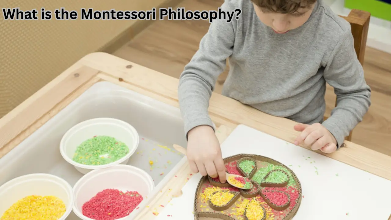 What is the Montessori Philosophy