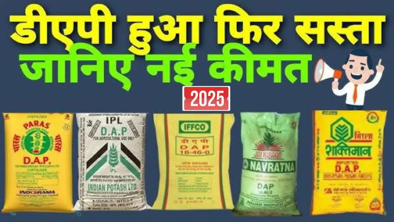 DAP-urea
