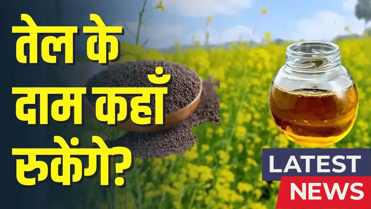 Mustard Oil Price 2025