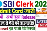 SBI Clerk Prelims Admit Card 2025